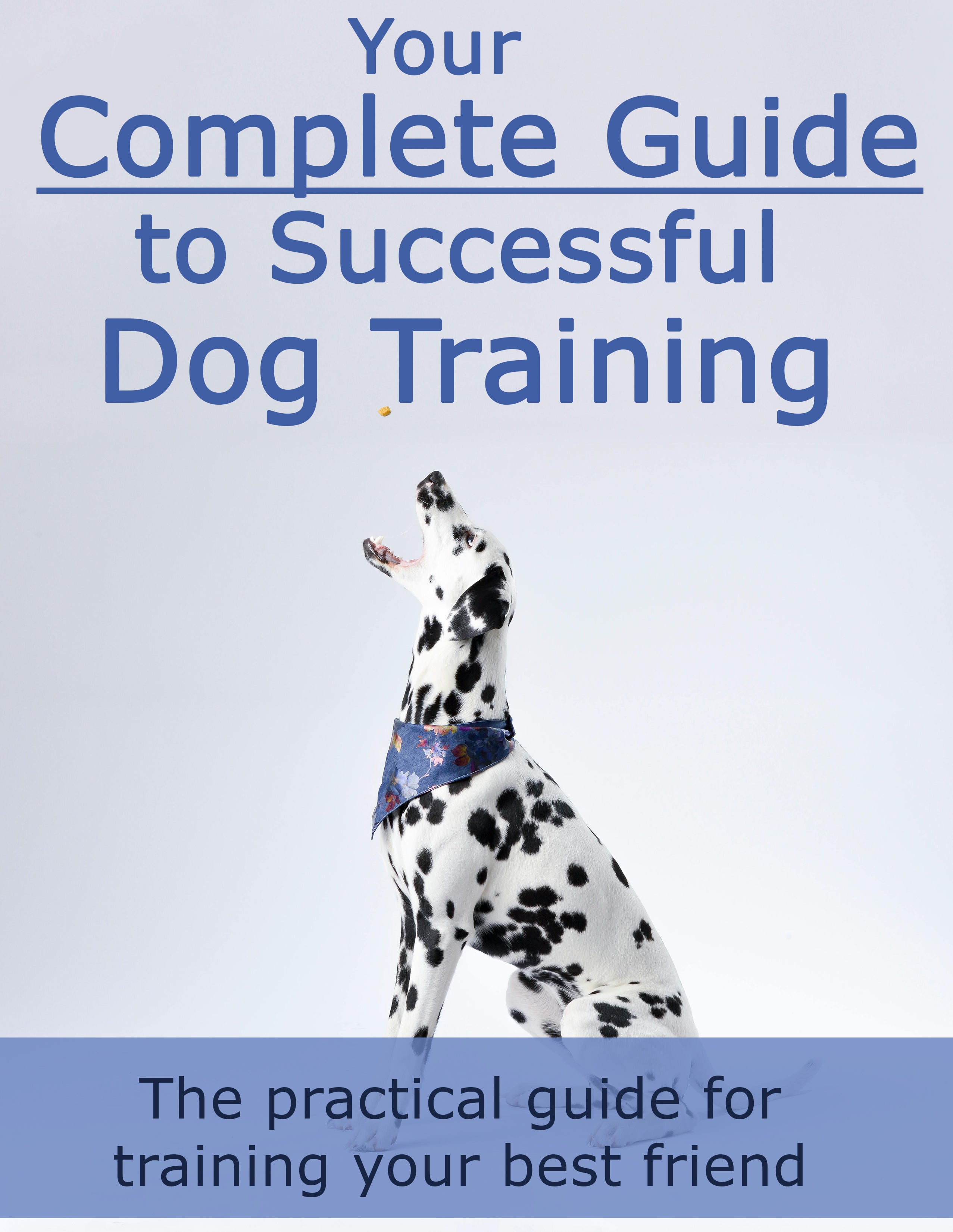 Your Complete Guide To Successful Dog Training